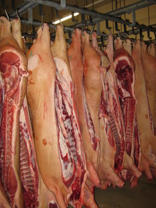 Schweinefleisch