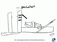 ...gescheitert