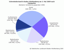 Schweinebestand BW 2009