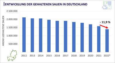In einem Jahr ist der Sauenbestand in Deutschland um 11,9 % gesunken. ©ISN nach Destatis, Stand 03. November 2022