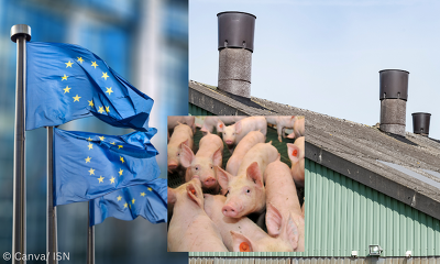 Von den Verschärfungen der novellierten EU-Industrieemissionsrichtlinie (IED) sind vor allem kleinere und mittlere Familienbetriebe betroffen. ©ISN,Canva