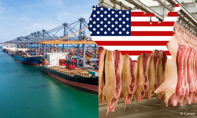Die US-Ausfuhrerlöse für Schweinefleisch haben 2023 ein historisches Hoch erreicht  (Bild  © Canva)