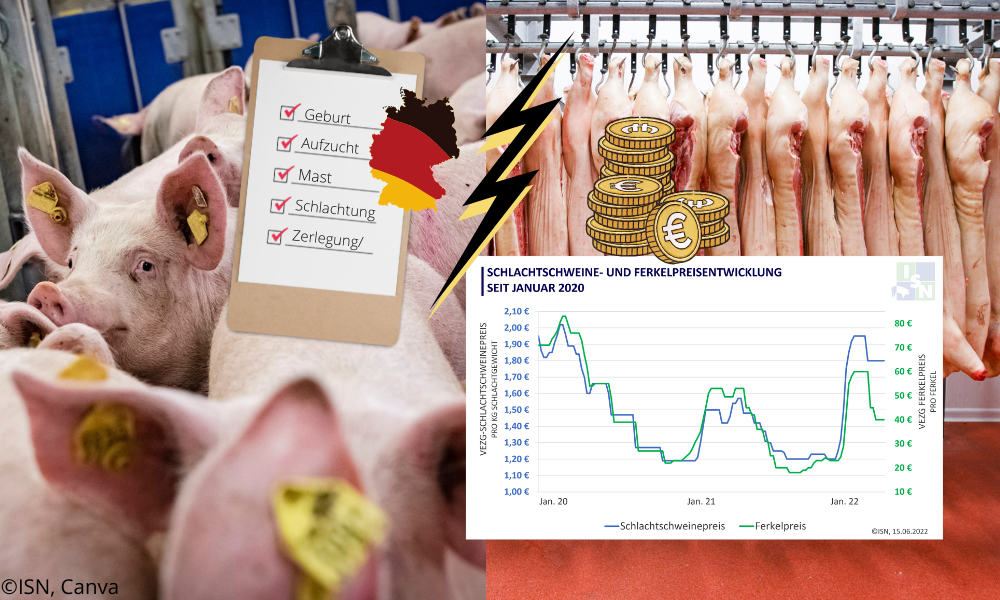schweine.net - Preisdruck bei Schweinefleisch: Völlig falsches Signal ...