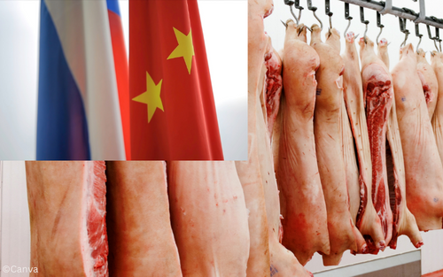 Einfuhrsperren aufgehoben: Die ersten Schweinefleischexporte von Russland nach China werden wegen der regulatorischen Anforderungen frühestens für das zweite oder dritte Quartal 2024 erwartet. (Bild © Canva)