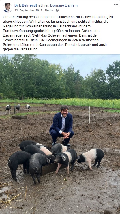 Mit Lackschuhen zwischen Schweine und gegen jegliche Hygienebestimmungen kündigte Dr. Dirk Behrendt schon 2017 an, die Schweinehaltung vor dem Bundesverfassungsgericht überprüfen zu lassen. (Quelle: Facebook-Screenshot)
