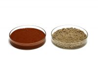 Wasserbindungskapazität von PROFI DRY (rechts) im Vergleich zu einem herkömmlichen Hygienepulver (links)