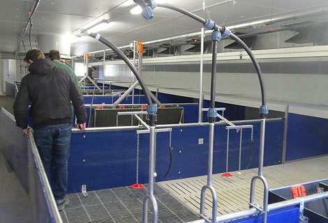 Die Profis nehmen die Aufstallung gründlich unter die Lupe. Bildmitte: Futterautomat für Trockenfütterung DryExact Pro.