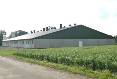 Betrieb Nagelmann: Der Schweinemaststall von der Hülle bis zu den Stalleinrichtungen sind komplett aus einer Hand. Das gelungene Projekt kann am 27. Juni von 14 bis 18 Uhr besichtigt werden.