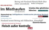 Headlines zum "Fall Neuland"