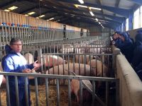 Martin Barker (li.), Geschäftsführer der Midland Pig Producers, erklärt das Haltungssystem im Wartestall