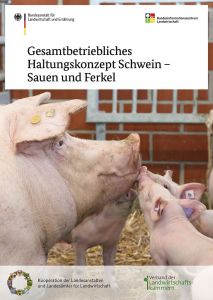 Neue BZL-Broschüre gibt Handlungsempfehlungen für Schweinehaltung der Zukunft ©BZL