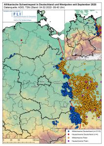 ASP in Deutschland und Westpolen seit September 2020 ©FLI