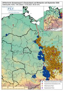 Karte: ASP in Deutschland seit September 2020, 3.883 Fälle bei Wildschweinen und 4 Ausbrüche bei Hausschweinen, Stand 13.05.2022 ©FLI