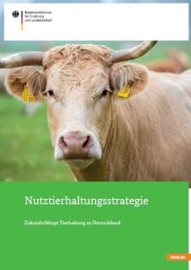 Darum geht es: Zukunftsfähige Tierhaltung in Deutschland