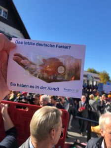 Das letzte deutsche Ferkel...