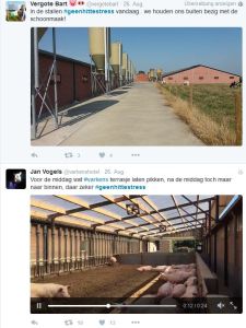 Twitter Kampagne Hitzestress