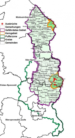 Karte: MSGIV Brandenburg, Stand 05.10.2020