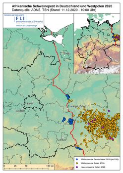 Karte: FLI, Stand 11.12.2020
