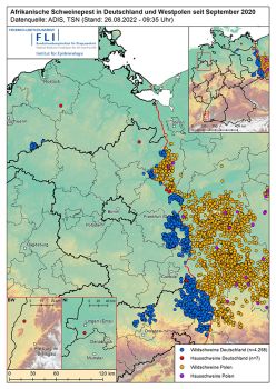 ASP in Deutschland und Westpolen seit September 2020, 4.258 Fälle bei Wildschweinen und 7 Ausbrüche bei Hausschweinen, Stand 26.08.2022 ©FLI