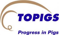 Logo Topigs