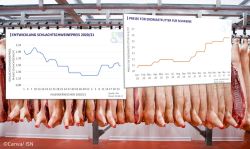 Header Schweinemarkt Futter