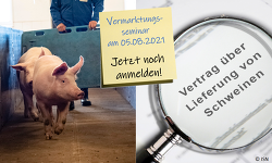 Nehmen Sie sich genug Zeit, um den Abnahmevertrag für Schlachtschweine gründlich und in aller Ruhe zu prüfen. ©ISN