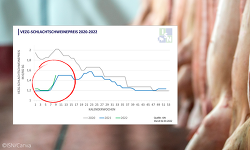 Header Ereignisse Schlachtschweinepreis0203(1)