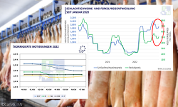 Die VEZG-Notierung für Schlachtschweine steigt heute um 5 Cent auf 1,95 €/kg SG. Auch im europäischen Umfeld  ließen sich bereits in der vergangenen Woche leichte Preissteigerungen am Schlachtschweinemarkt realisieren. ©ISN/Canva