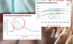 Header Notierungsrückgang 04052022(1)(1)