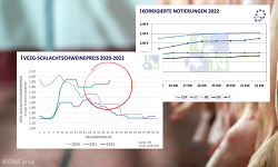 Mit dem heutigen Anstieg nimmt nun auch der deutsche Schlachtschweinepreis die Impulse auf, die sich bereits in den vergangenen zwei Wochen in anderen EU-Ländern zeigten. ©ISN/Canva