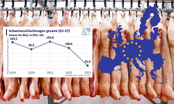 EU-27_Schlachtungen_Jan bis Mai