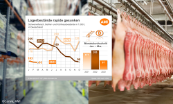 Schweinefleisch Lagerbestände