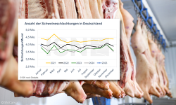 Header Schlachtungen Zahlen D