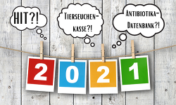 Stichtagsmeldungen zum Jahreswechsel - Daran sollten Sie denken!