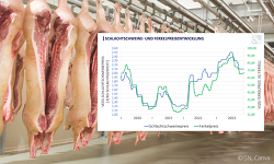 Header Schlachtschweinemarkt