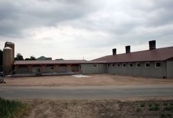 Der Schweinemaststall von Familie Meyer-Hanschen steht am 27. Juni von 14 bis 18 Uhr zur Besichtigung offen.