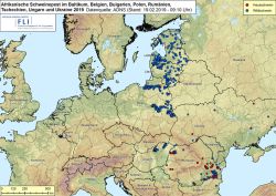 ASP im Baltikum, in Belgien, Bulgarien, Polen, Rumänien, der Tschechischen Republik, Ungarn und der Ukraine 2019, Stand 19.02.2019 (Bildquelle: FLI)