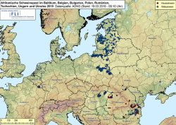 ASF im Baltikum, in Belgien, Bulgarien, Polen, Rumänien, der Tschechischen Republik, der Ukraine und Ungarn 2019, Stand 19.03.2019 (Bild: FLI)