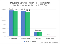 Schweineimporte: Im Vergleich zum Vorjahr wurden von Januar bis Juni in diesem Jahr 4% weniger Schweine nach Detuschland eingeführt (Bild: ISN nach AMI)