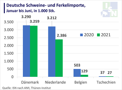 Von Januar bis Juni 2021 sanken die Einfuhren von Schweinen und Ferkeln nach Deutschland im Vergleich zum Vorjahreszeitraum insgesamt um 18 %.  (©ISN nach AMI, Thünen-Institut)
