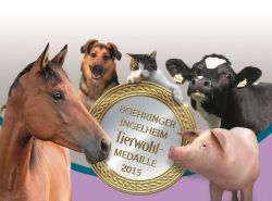 Tierwohlmedaille Boehringer Ingelheim - Jetzt bewerben