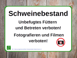 ©ISN