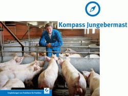 Kompass Jungebermast Titelbild