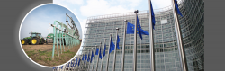 Der EU-Kommission reichen Umfang und Geschwindigkeit der Umsetzung der Nitratrichtlinie in Deutschland nicht aus