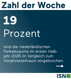 KW 29