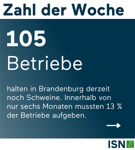 Vorlage Zahl Der Woche KW31