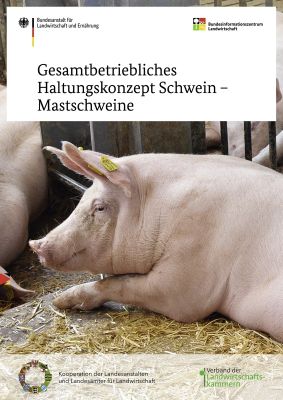 BMEL Haltungskonzept Mastschwein