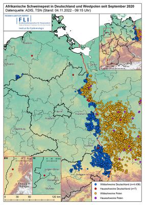 Karte: ASP in Deutschland und Westpolen seit September 2020, Stand 04.11.2022 ©FLI