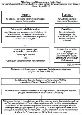 Ablaufplan zum Aktionsplan Kupierverzicht