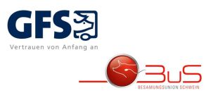 Kooperation: GFS und BuS arbeiten zukünftig im Schweinespermavertrieb und in der dazugehörenden Logistik eng zusammen.